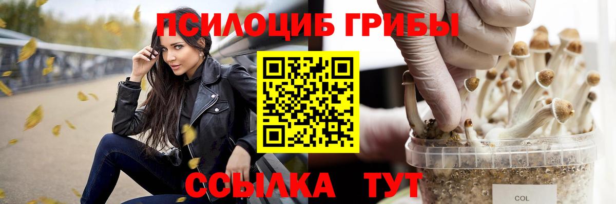 купить закладку  Галлюциногенные грибы мухоморы  Вход с VPN  Тула 